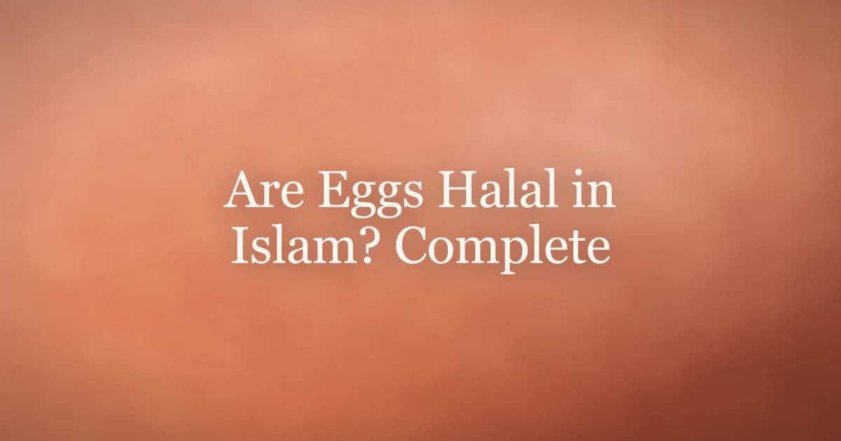 Are Eggs Halal in Islam? Complete Guide