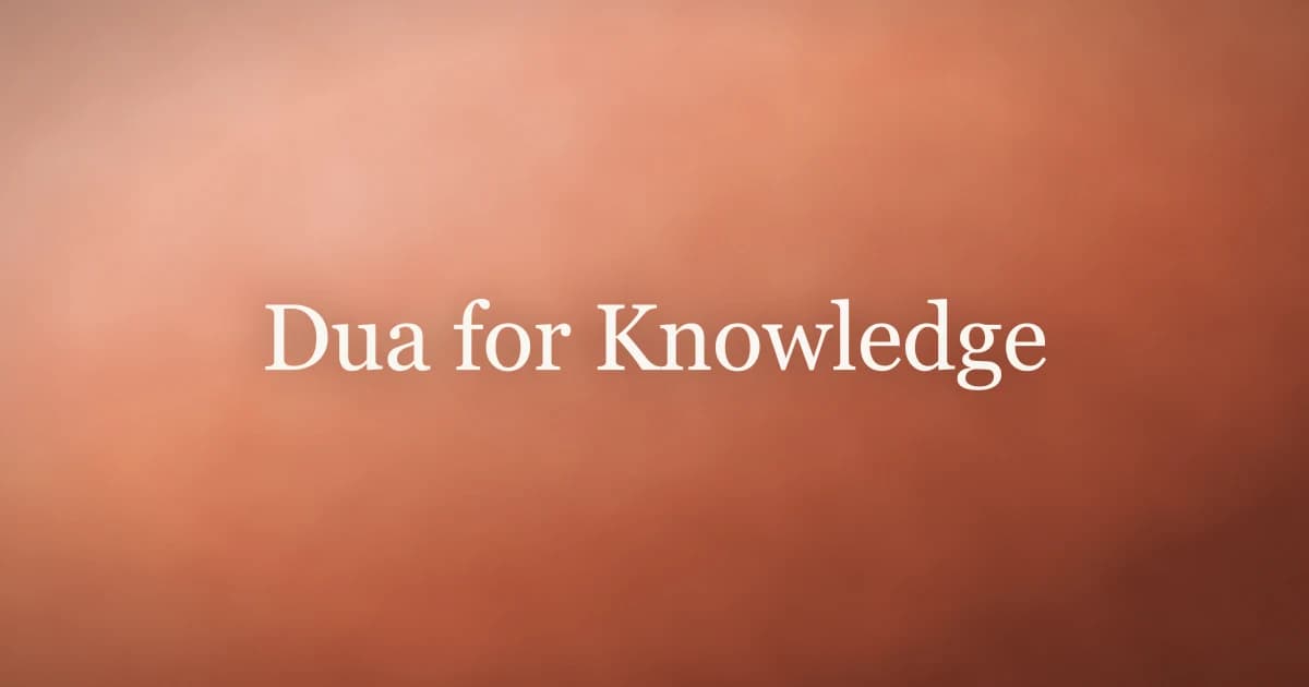 Dua for Knowledge: Quranic Supplications to Increase Ilm