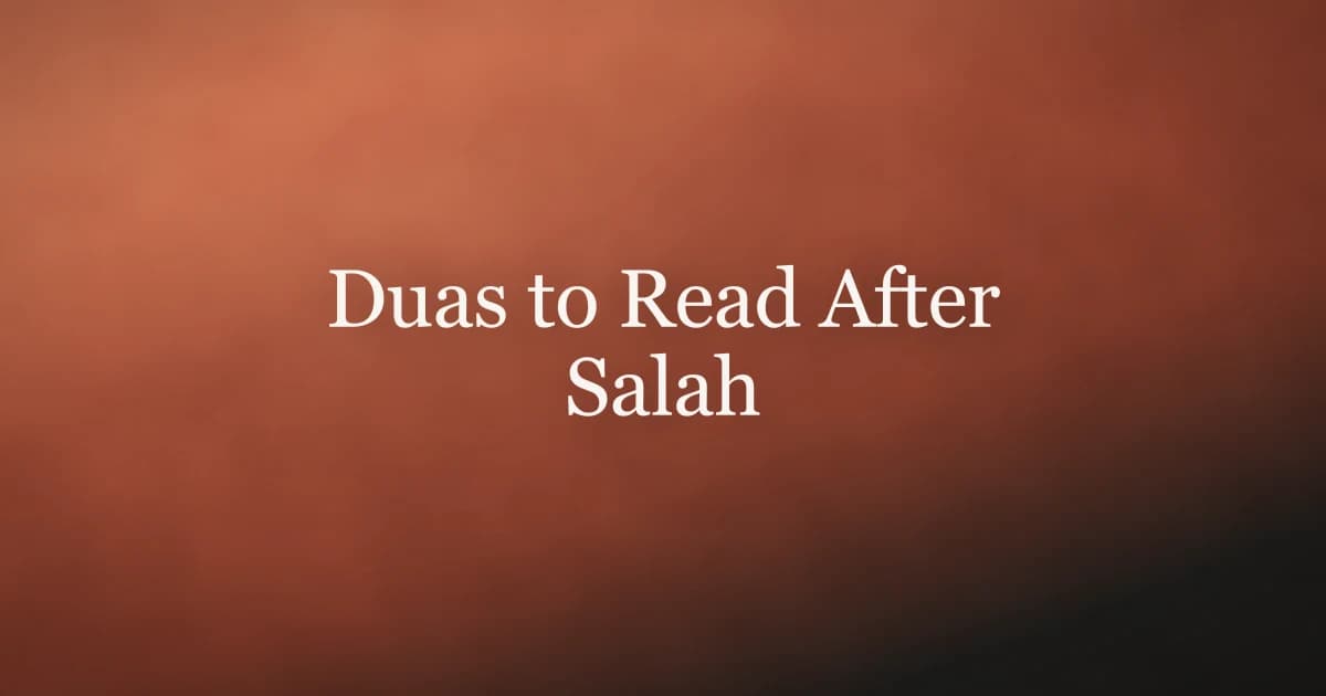 Duas to Read After Salah: Complete Guide
