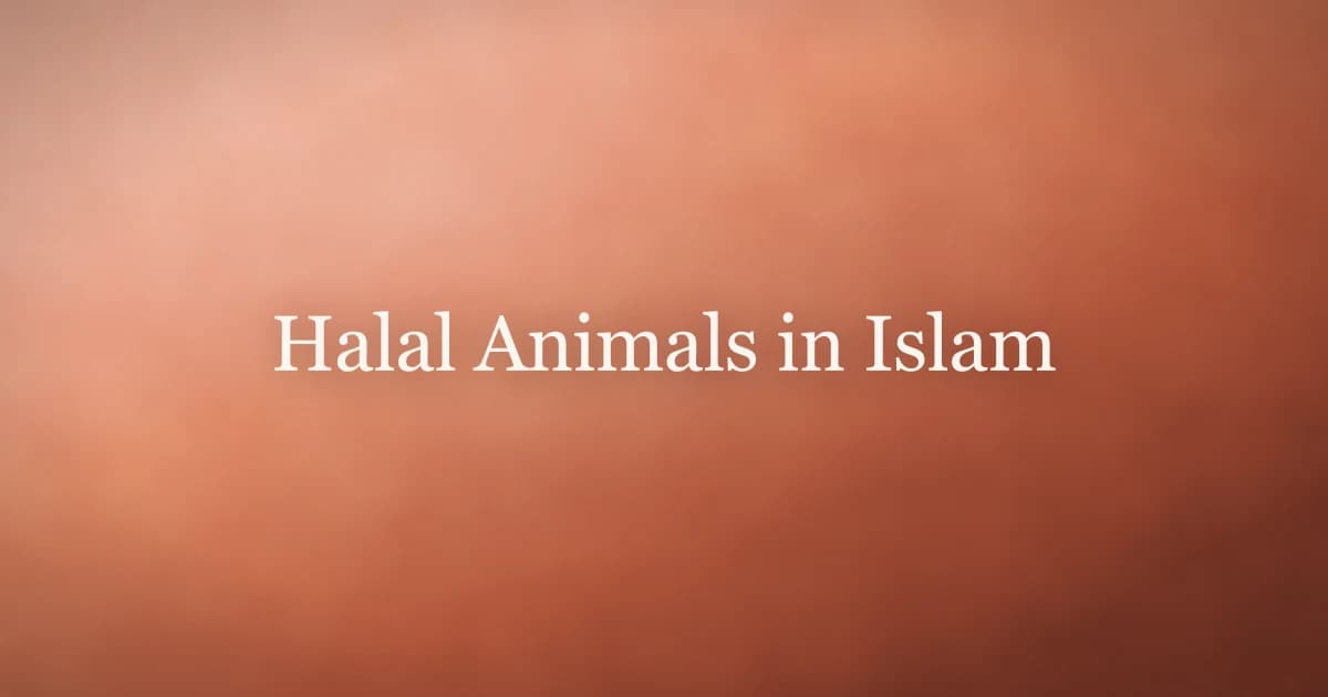 Halal Animals in Islam: Which Meat Is Permissible?