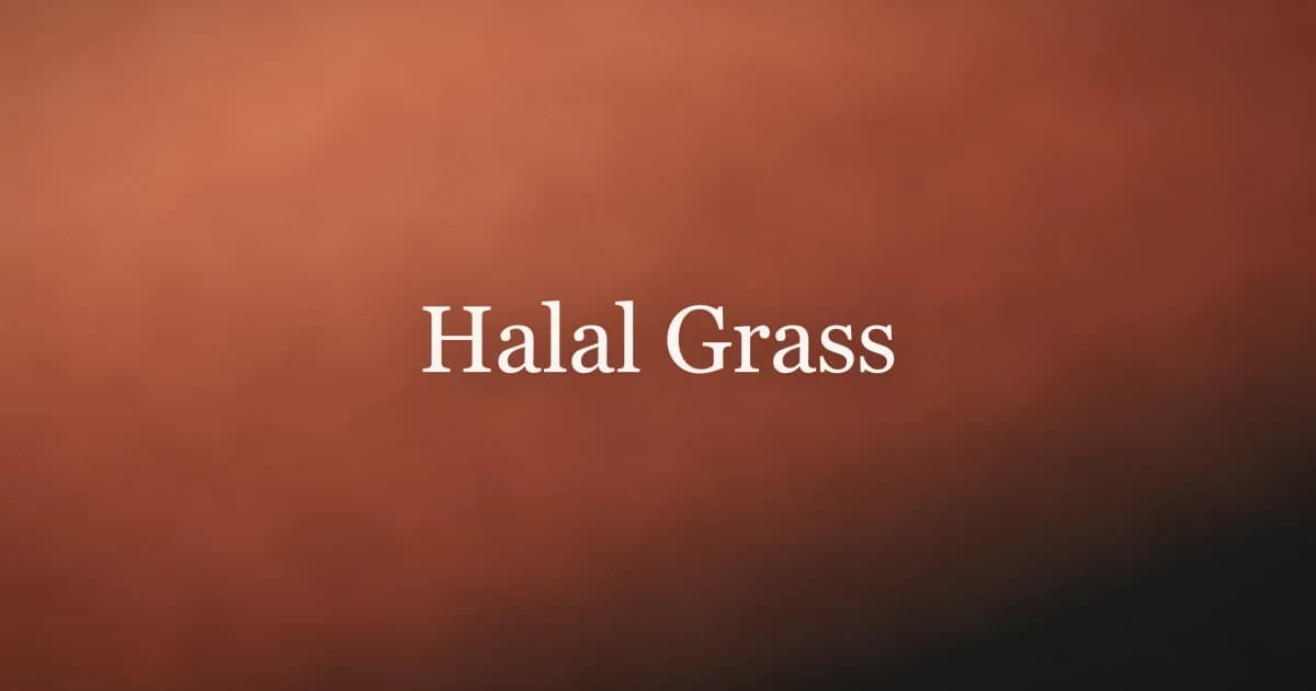Halal Grass-Fed Beef: What Actually Makes It Halal
