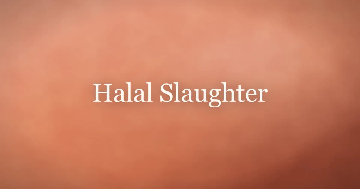 Halal Slaughter: What Is Zabiha and Why It Matters