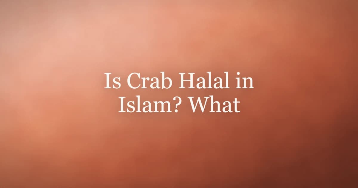 Is Crab Halal in Islam? What the Four Schools Say