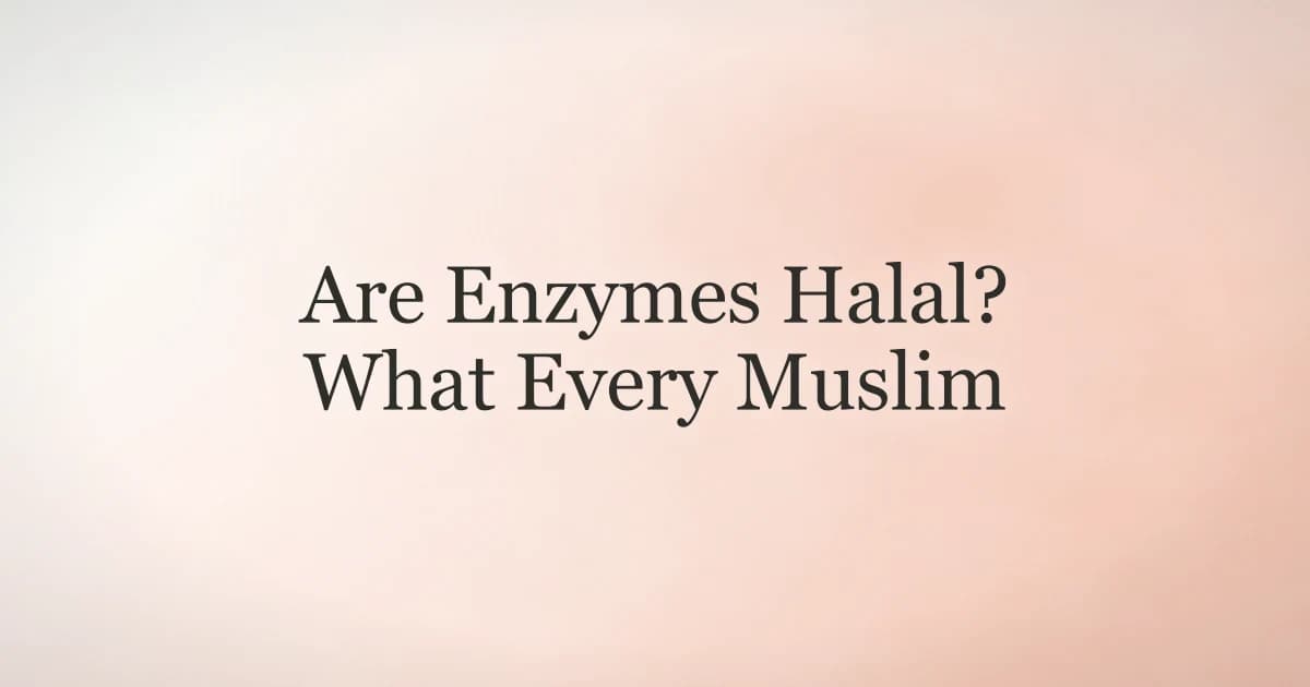 Are Enzymes Halal? What Every Muslim Should Know