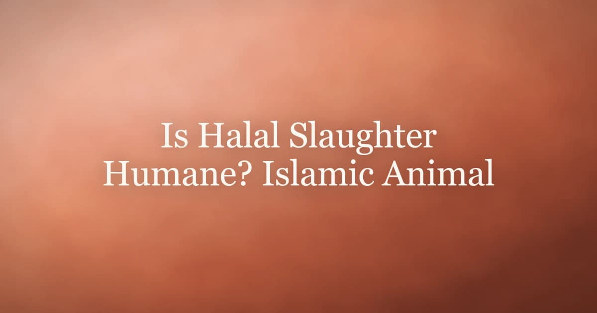 Is Halal Slaughter Humane? Islamic Animal Welfare Explained