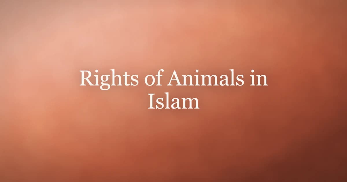 Rights of Animals in Islam: Mercy in Practice