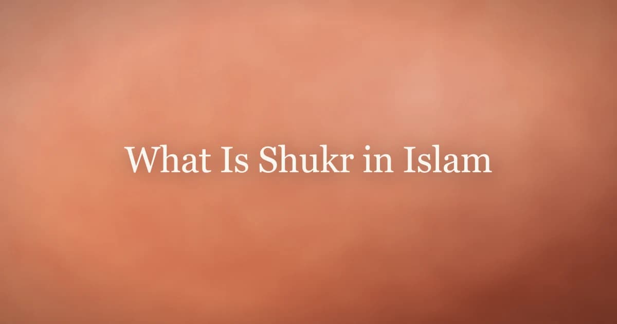 What Is Shukr in Islam: Gratitude to Allah